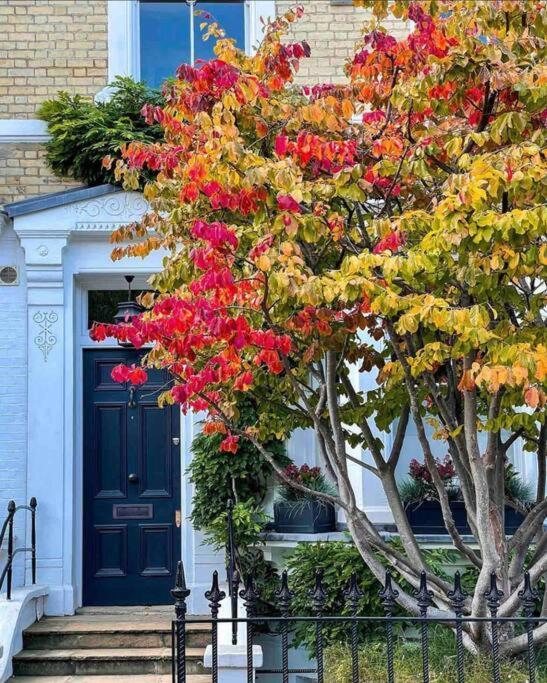 Chelsea Posh Apartment Лондон Екстер'єр фото
